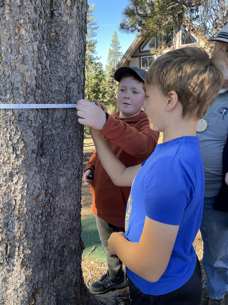 students measuring a tree
